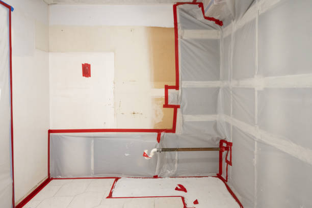 Best Water Damage & Mold Remediation  in Madison Park, NJ