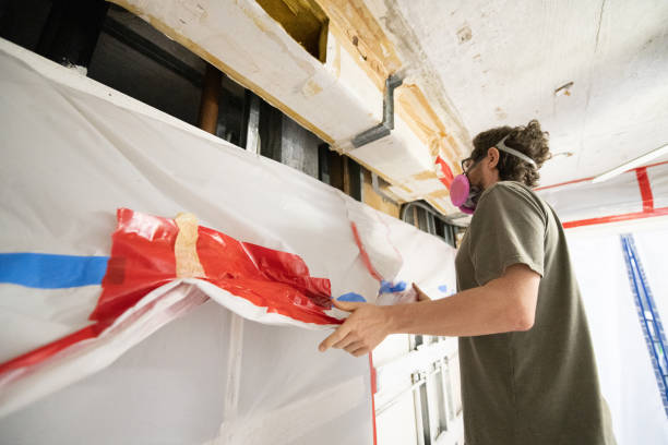  Madison Park, NJ Mold Removal Pros