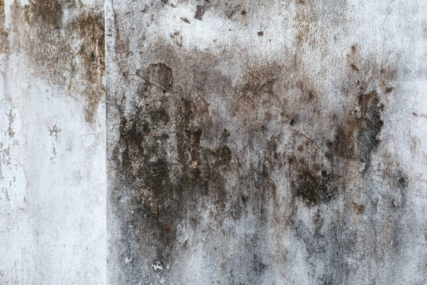 Best Indoor Air Quality Assessment  in Madison Park, NJ
