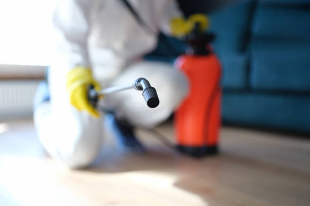 Best Post-Remediation Verification Testing  in Madison Park, NJ
