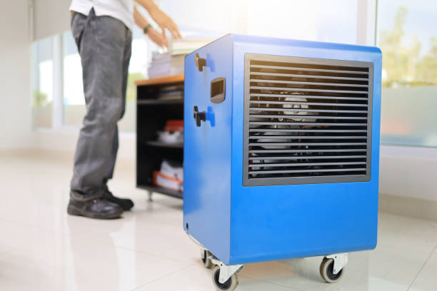 Best Airborne Mold Testing  in Madison Park, NJ